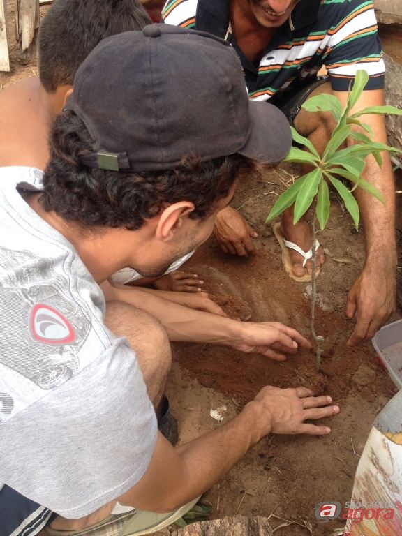 Foto: Divulgação -