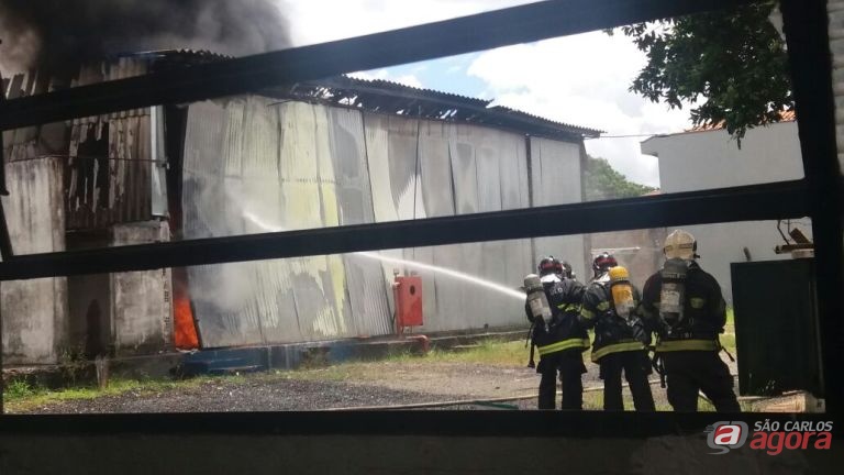 Foto: Milton Rogério -