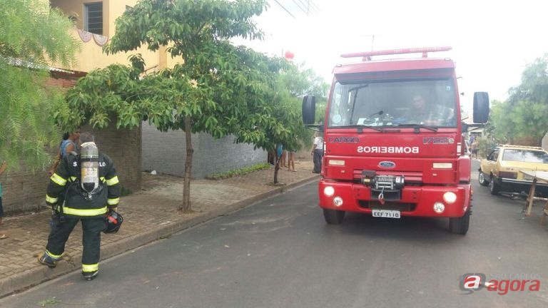 Foto: Milton Rogério -