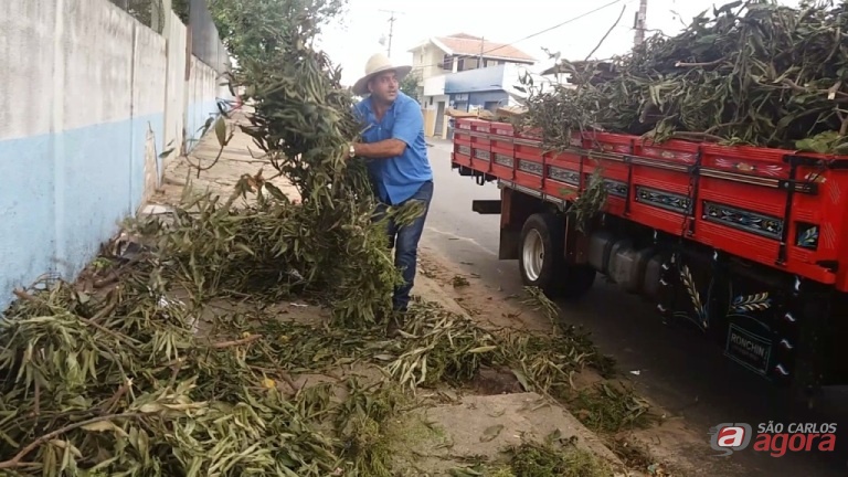 Sergio Rocha recolhe galhos e outros objetos abandonados na calçada da Escola Municipal Octávio de Moura. Foto: Assessoria do vereador -
