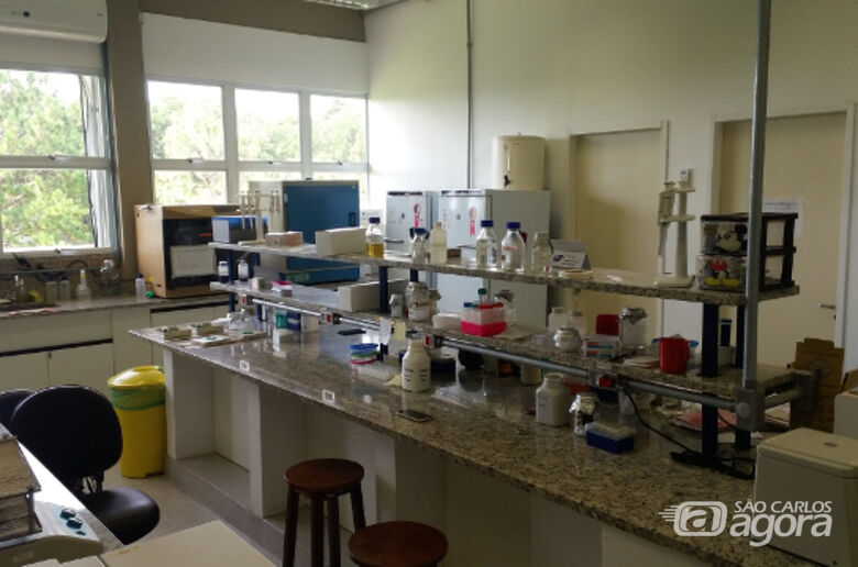 Laboratório de Bioquímica e Genética Aplicada da UFSCar. Foto: Gisele Bicaletto - 