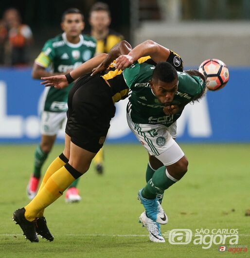 Foto: Cesar Greco/Agência Palmeiras/Divulgação - 