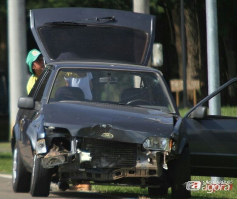 Foto: Milton Rogério - 