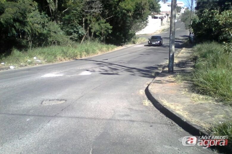 Foto: Divulgação - 