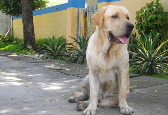 Foto: Divulgação -