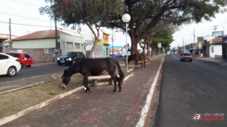 Foto: Rádio Sanca -