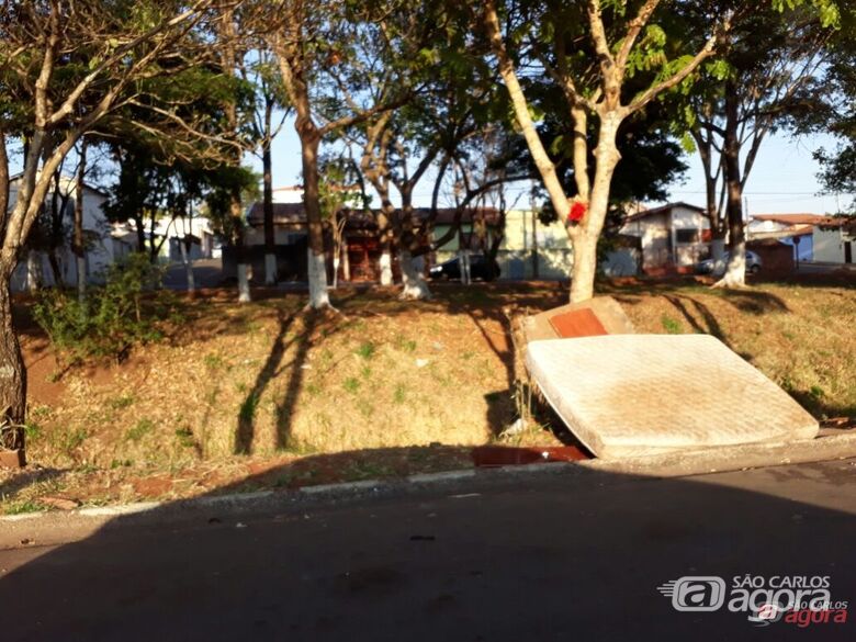 Foto: Divulgação -