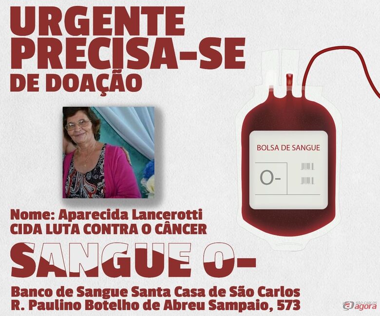Foto: Divulgação -