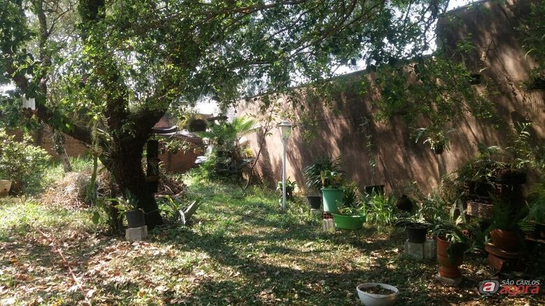 Foto Divulgação -