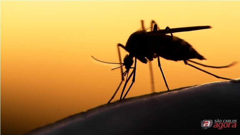 Mulher morre com suspeita de dengue em Araraquara -