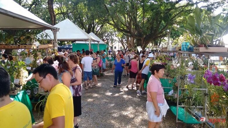 Foto: Divulgação -