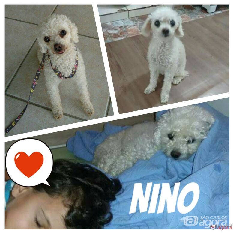 Foto: Divulgação -