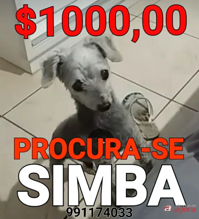 Foto: Divulgação -