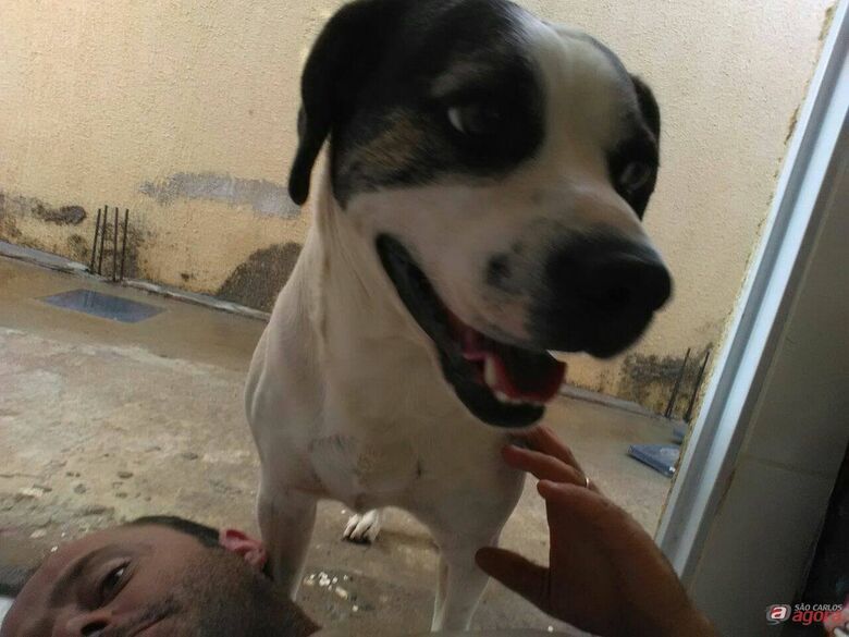 Foto: Divulgação -