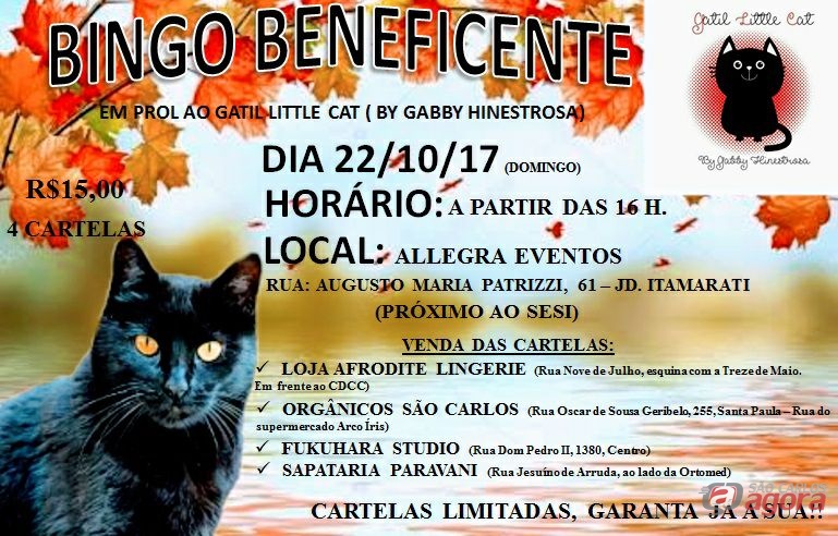 Foto: Divulgação -