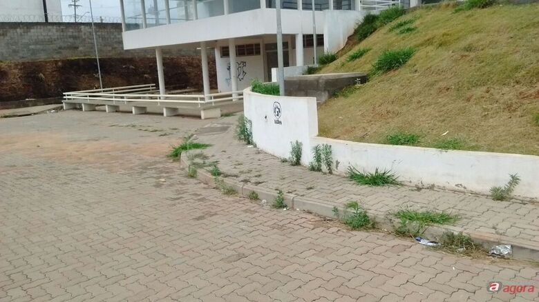 Foto: Divulgação -