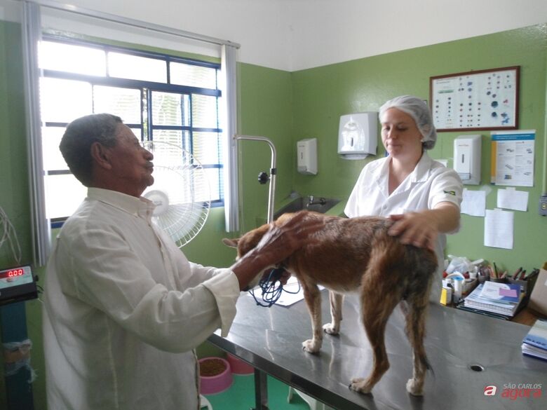Foto: Divulgação -