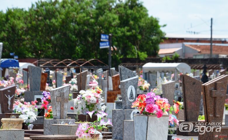 Limpeza de túmulos para o Dia de Finados poderá ser feita até quarta-feira -