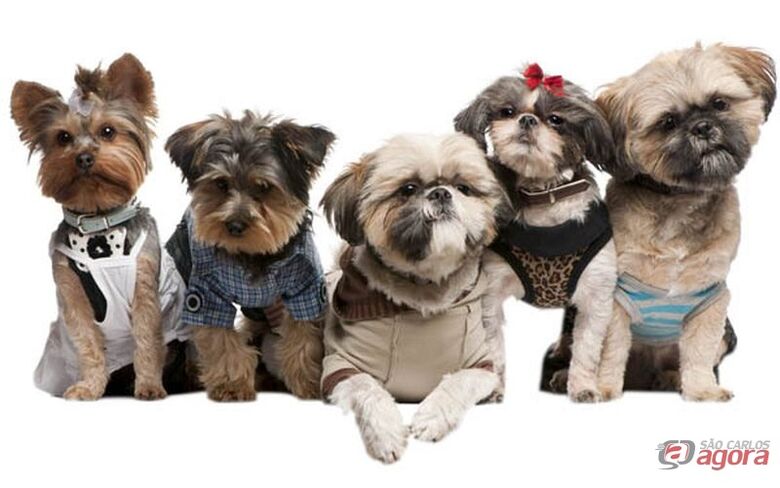 Iguatemi promove 1º Pet Day neste domingo -