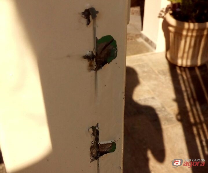Foto: Divulgação -