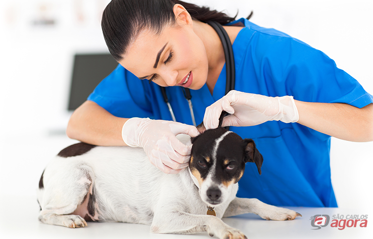 Últimas vagas para os cursos de auxiliar de veterinária, atendente de farmácia e auxiliar de laboratório e análises clínicas - 