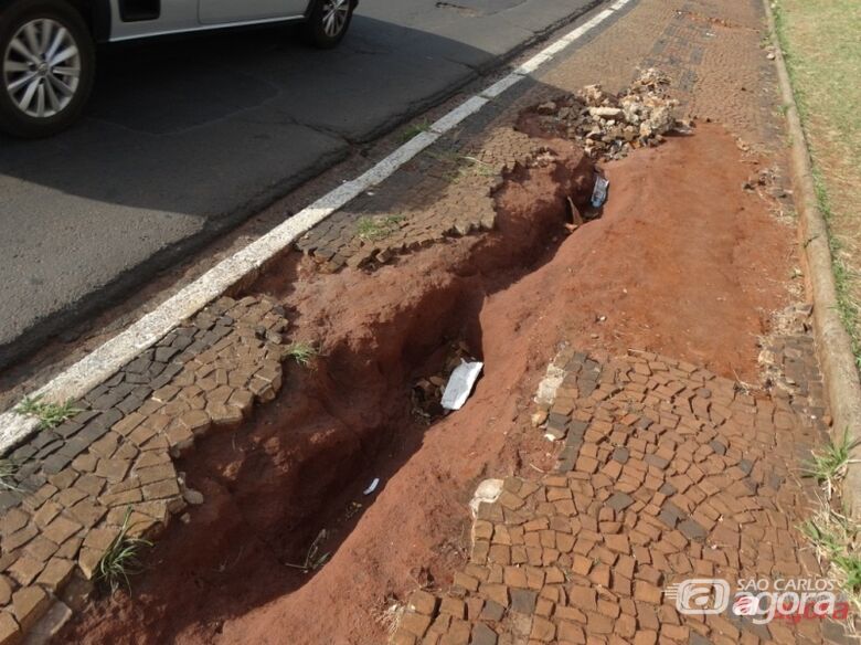 Foto: Divulgação -