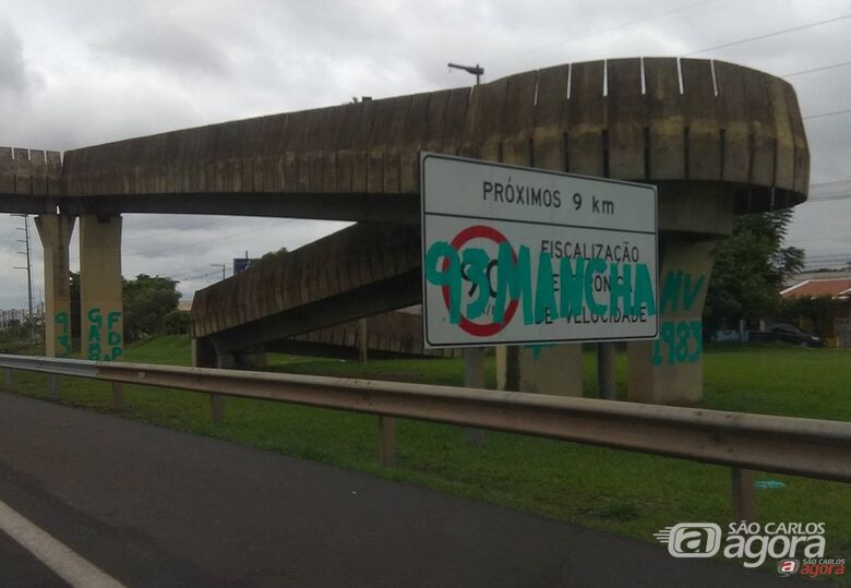 Foto: Divulgação -