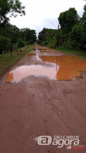 Foto: Divulgação -