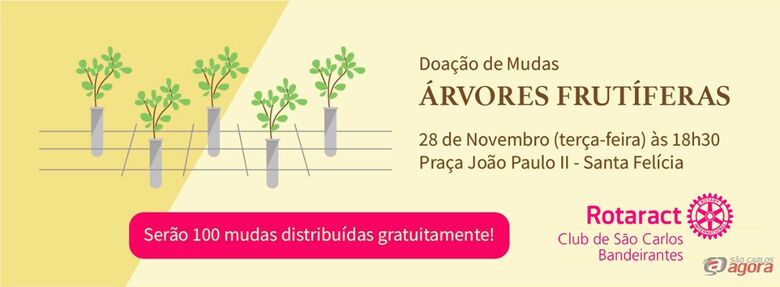 Foto: Divulgação -