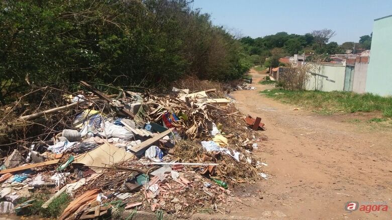 Foto: Divulgação -