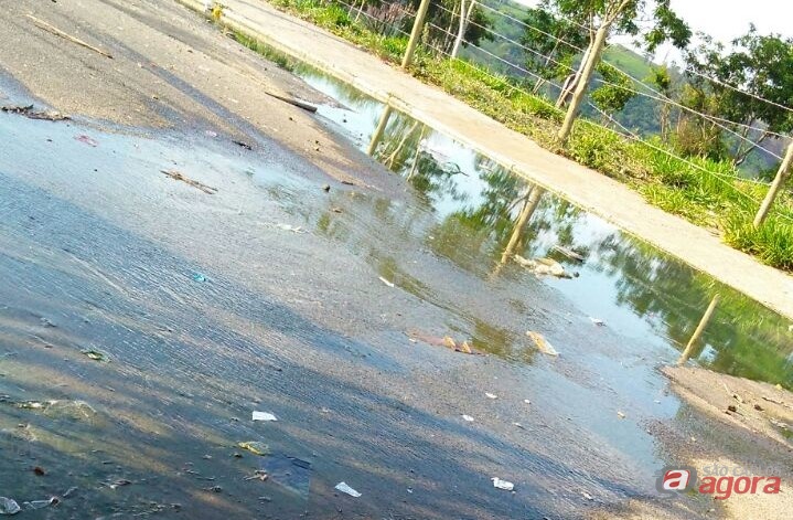 Foto: Divulgação -