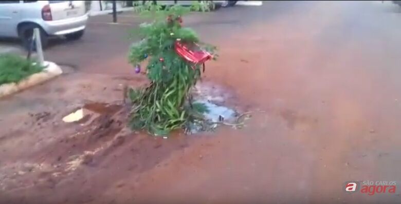 Moradores ‘montam’ árvore de Natal bem exótica no Botafogo -