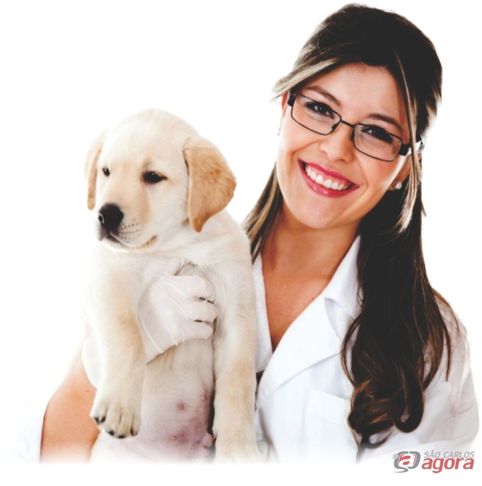 Abertas inscrições para os cursos de auxiliar de pet shop  atendente de farmácia, auxiliar de laboratório - 