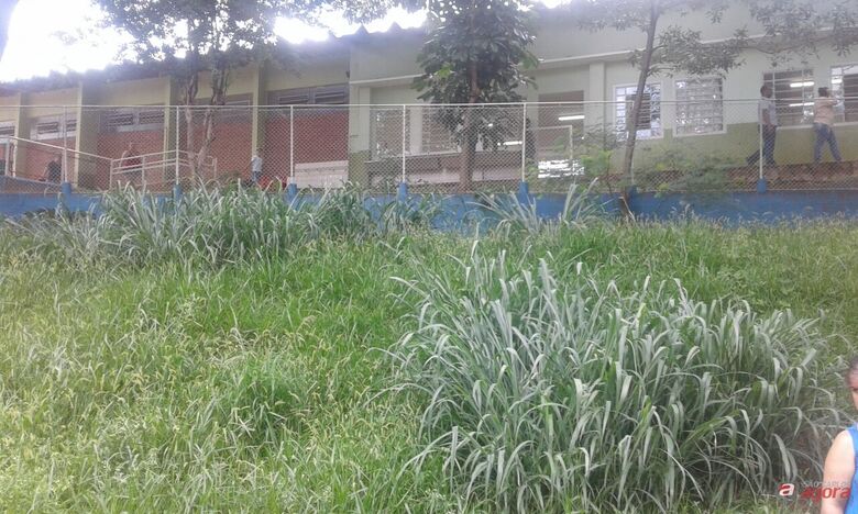 Foto: Divulgação -