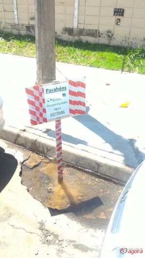 Foto: Divulgação -