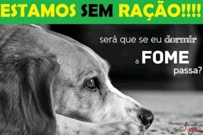 Foto: Divulgação -