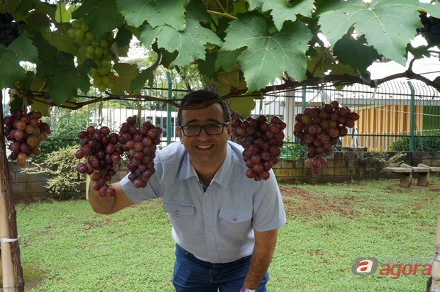 Foto: Eduardo Henrique Ferin da Cunha -