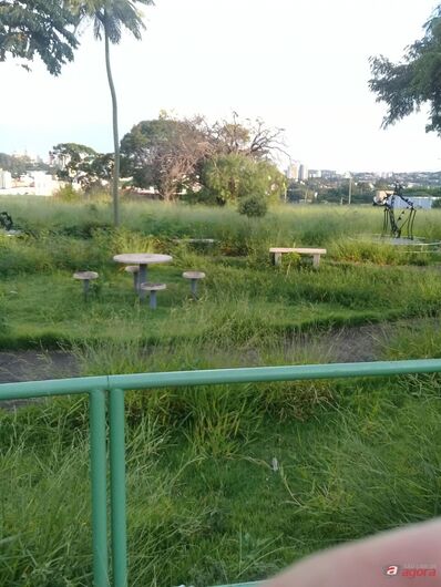 Foto: Divulgação -