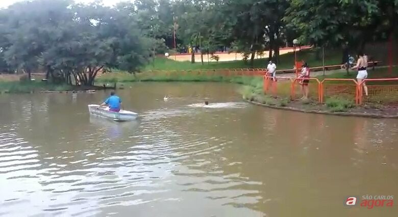 Homem salva cachorrinho de afogamento no lago do Parque Bicão; veja vídeo -