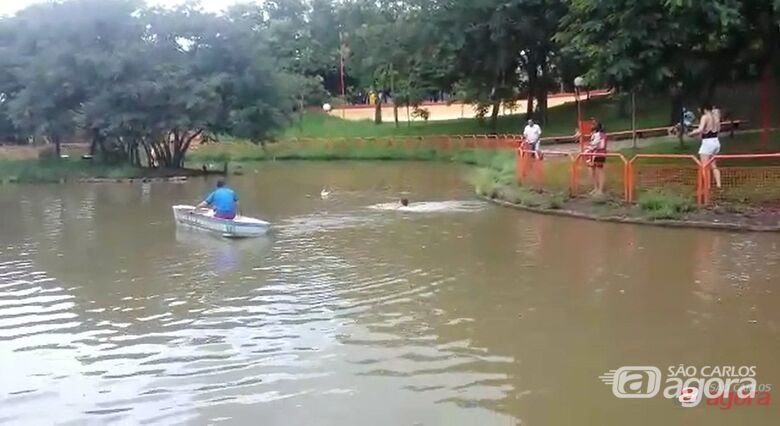 Homem salva cachorrinho de afogamento no lago do Parque Bicão; veja vídeo - 