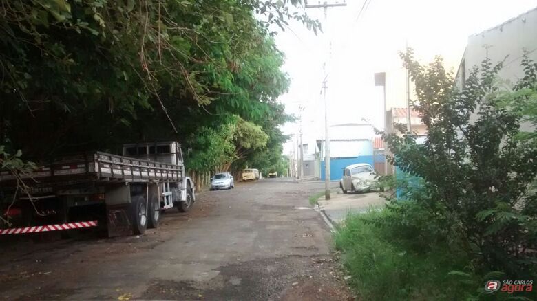 Foto: Divulgação -