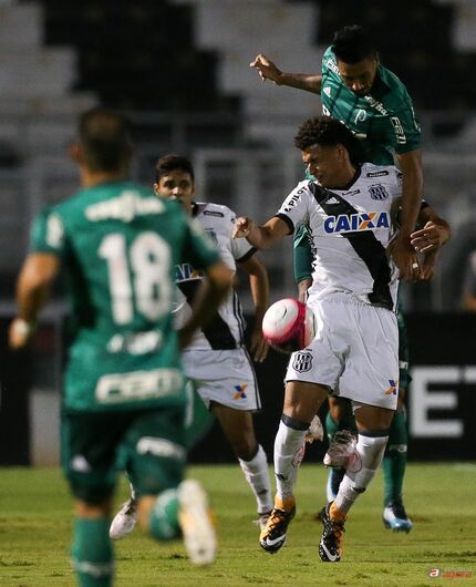 Foto: Cesar Greco/Divulgação/SE Palmeiras - 