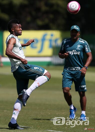 Foto: Cesar Greco/Divulgação/SE Palmeiras - 