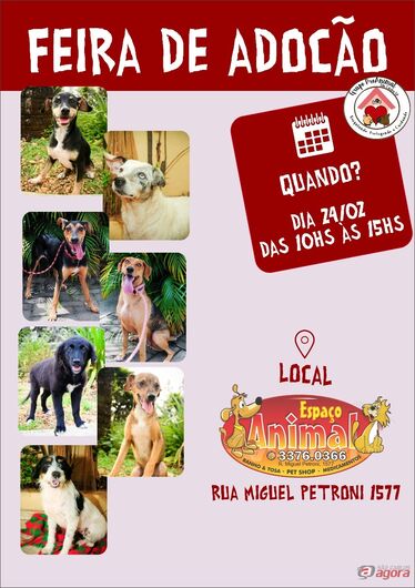 Foto: Divulgação -