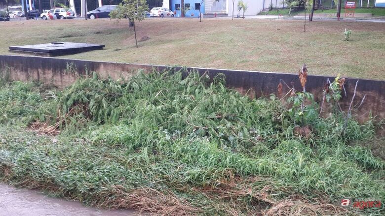 Foto: Divulgação -