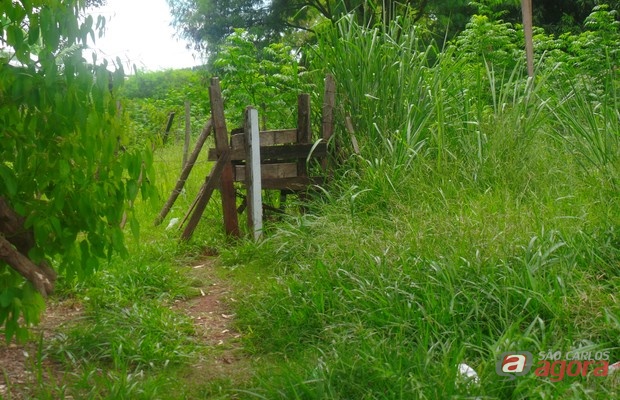 Foto: Divulgação -