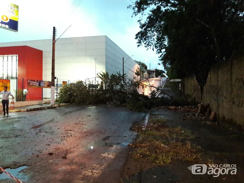 Árvore cai e interrompe o trânsito na Totó Leite - Crédito: Maycon Maximino