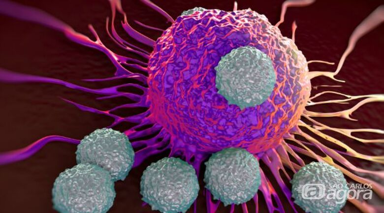 Estudo em São Carlos aponta que nanopartículas atacam bactérias e células cancerígenas - Crédito: Divulgação