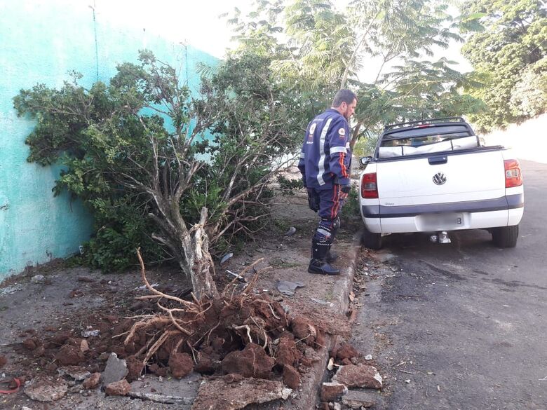 Saveiro arranca árvore e motorista desaparece - Crédito: Maycon Maximino