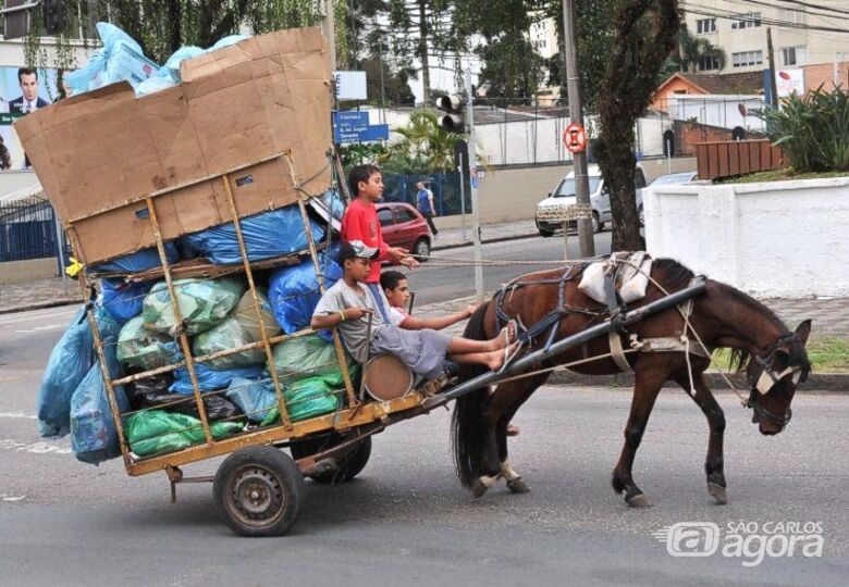 Projeto de lei de Paraná Filho proíbe o uso de veículos de tração animal no perímetro urbano de São Carlos - 